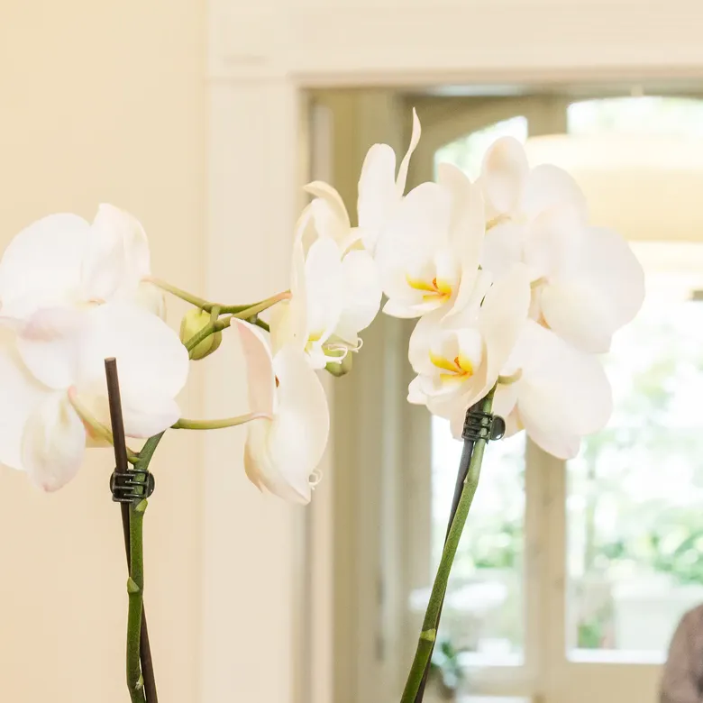 Die Zahnärzte am Mittelweg 150 in Hamburg